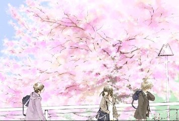2021含羞草 研究室隐藏入口